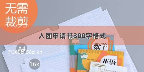 入团申请书300字格式