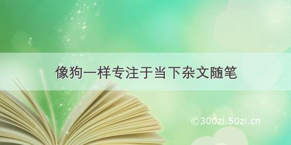 像狗一样专注于当下杂文随笔