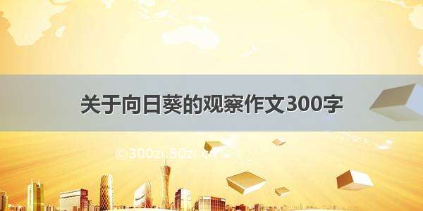 关于向日葵的观察作文300字