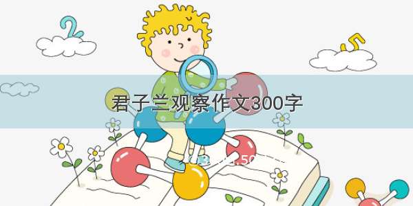 君子兰观察作文300字