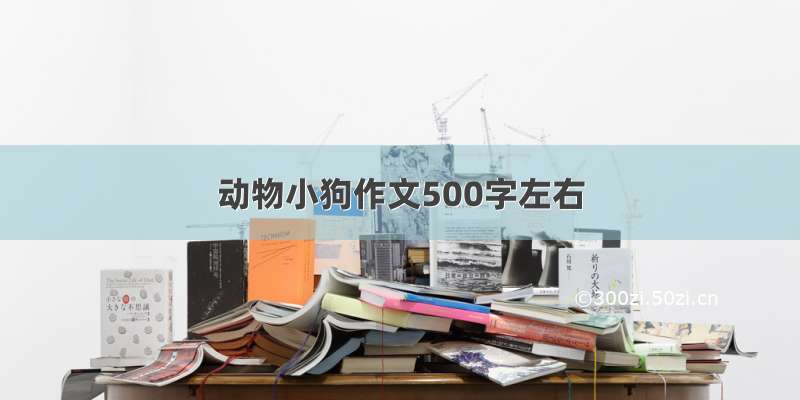 动物小狗作文500字左右