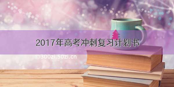 2017年高考冲刺复习计划书