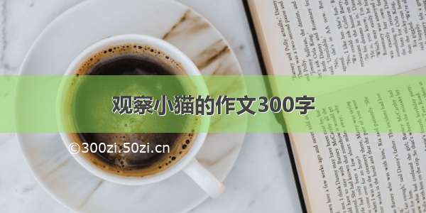 观察小猫的作文300字