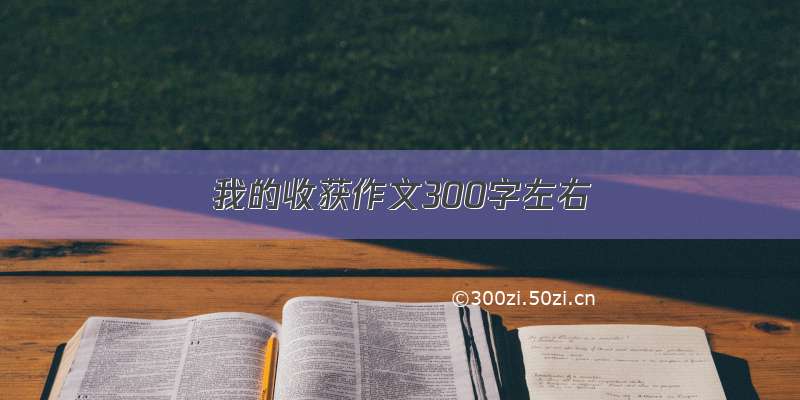 我的收获作文300字左右