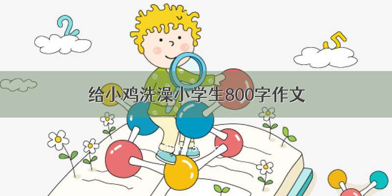 给小鸡洗澡小学生800字作文