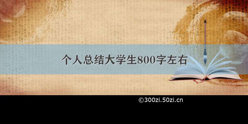 个人总结大学生800字左右