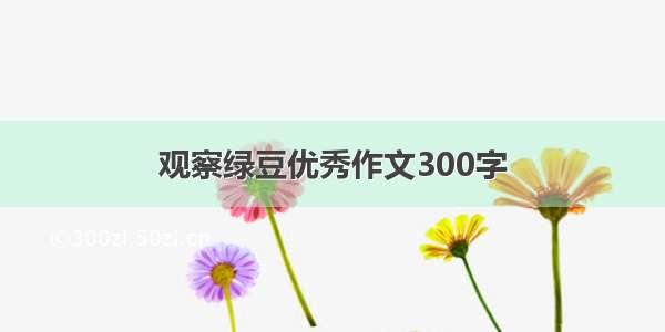 观察绿豆优秀作文300字