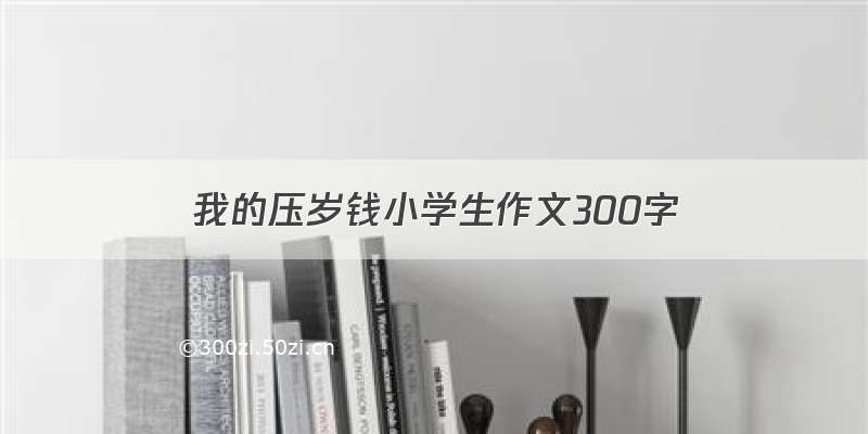 我的压岁钱小学生作文300字