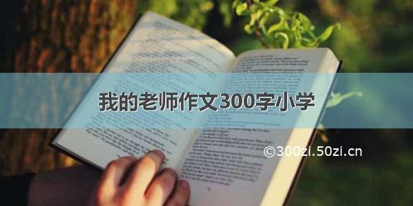 我的老师作文300字小学