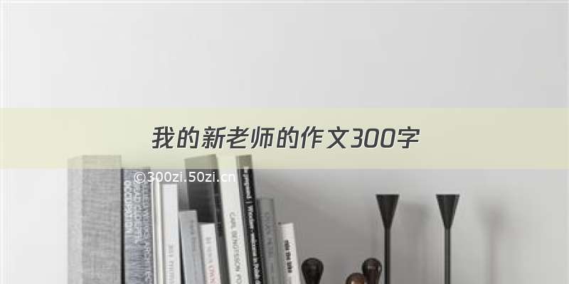 我的新老师的作文300字