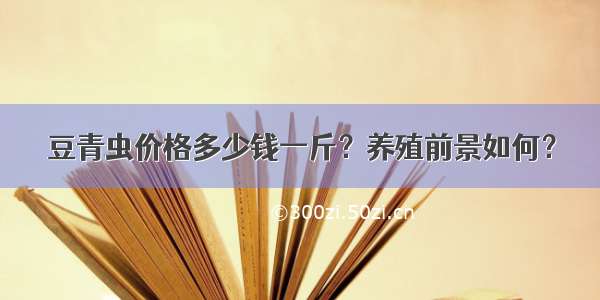 豆青虫价格多少钱一斤？养殖前景如何？