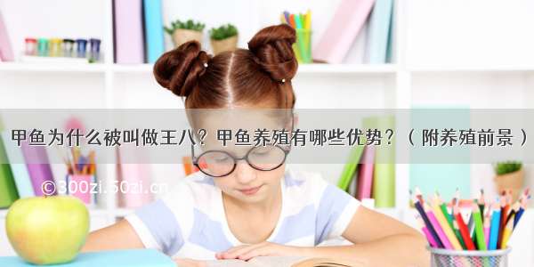 甲鱼为什么被叫做王八？甲鱼养殖有哪些优势？（附养殖前景）