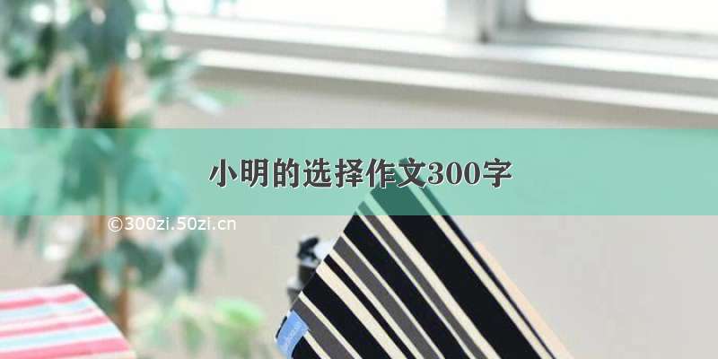 小明的选择作文300字