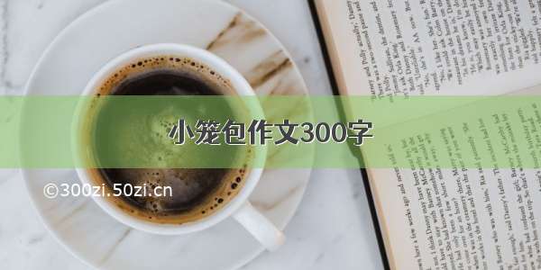 小笼包作文300字