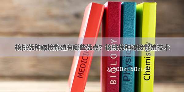 核桃优种嫁接繁殖有哪些优点？核桃优种嫁接繁殖技术