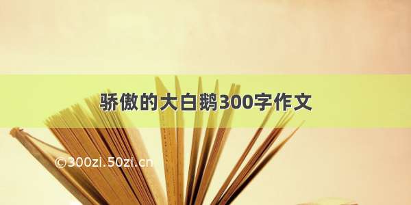 骄傲的大白鹅300字作文