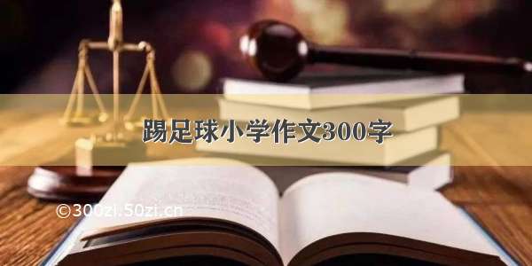 踢足球小学作文300字