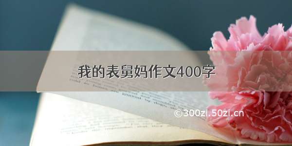 我的表舅妈作文400字