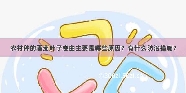 农村种的番茄叶子卷曲主要是哪些原因？有什么防治措施？