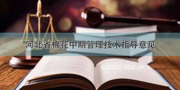 河北省棉花中期管理技术指导意见