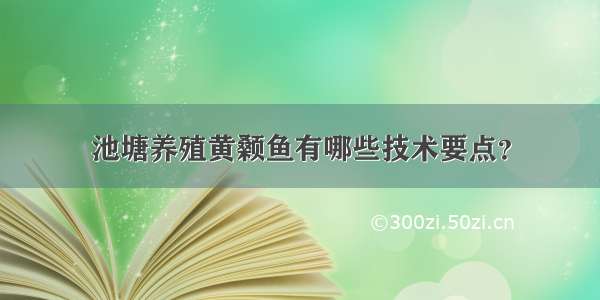 池塘养殖黄颡鱼有哪些技术要点？