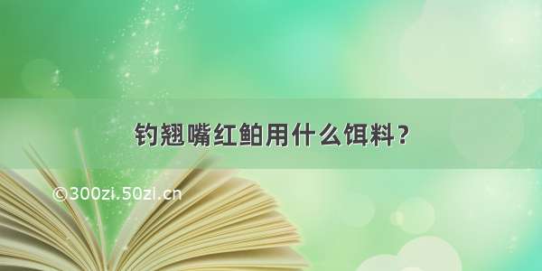 钓翘嘴红鲌用什么饵料？