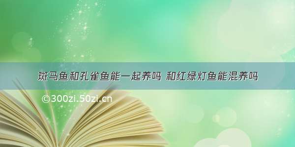 斑马鱼和孔雀鱼能一起养吗 和红绿灯鱼能混养吗