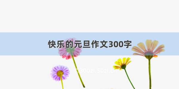 快乐的元旦作文300字