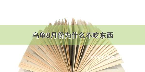 乌龟8月份为什么不吃东西