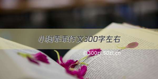 小狗乖乖作文300字左右