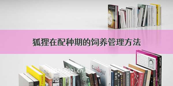 狐狸在配种期的饲养管理方法