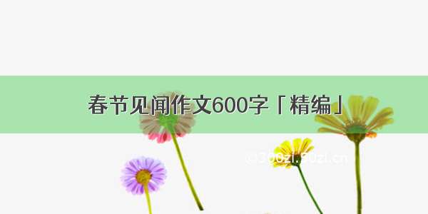 春节见闻作文600字「精编」