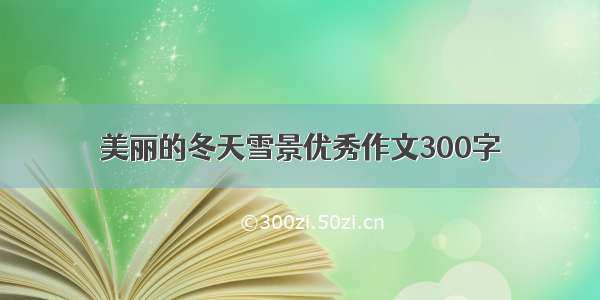 美丽的冬天雪景优秀作文300字