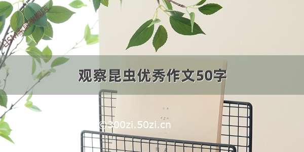 观察昆虫优秀作文50字