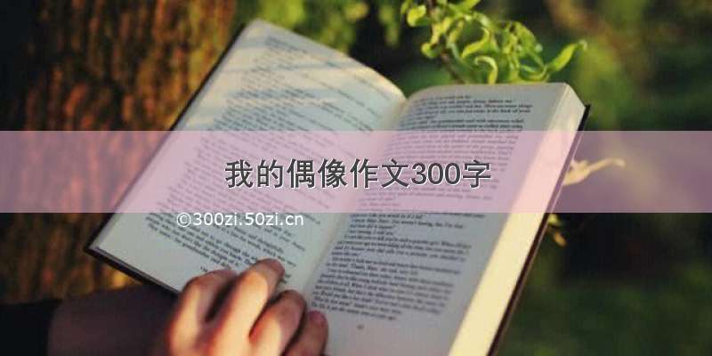 我的偶像作文300字