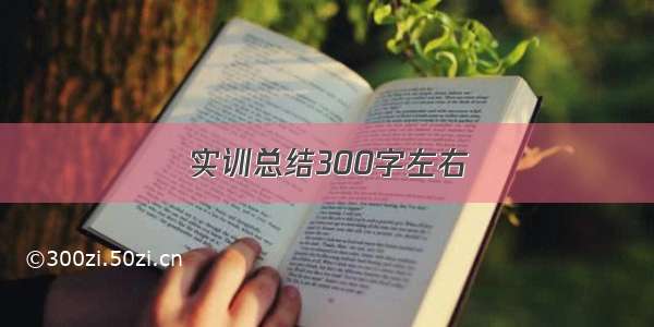 实训总结300字左右