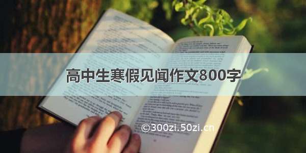 高中生寒假见闻作文800字