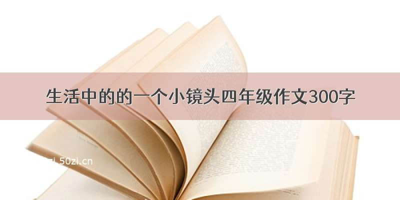 生活中的的一个小镜头四年级作文300字