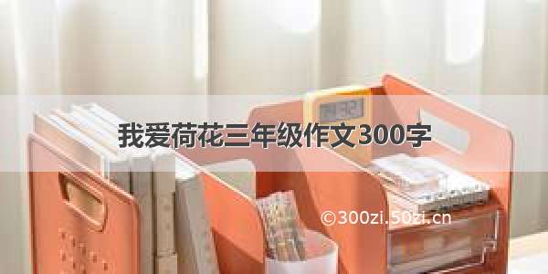 我爱荷花三年级作文300字