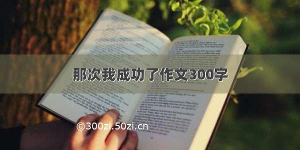 那次我成功了作文300字