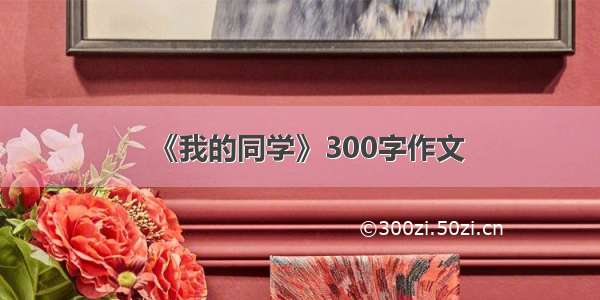 《我的同学》300字作文