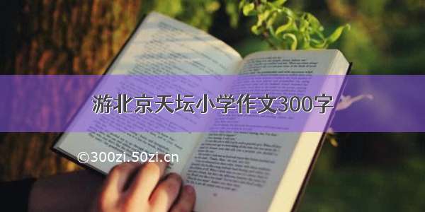 游北京天坛小学作文300字