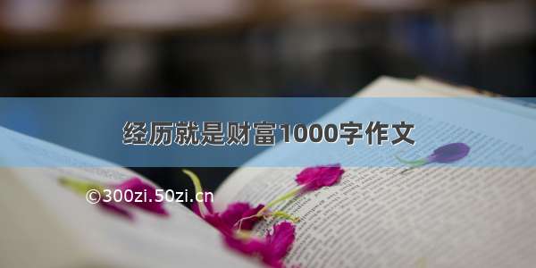 经历就是财富1000字作文