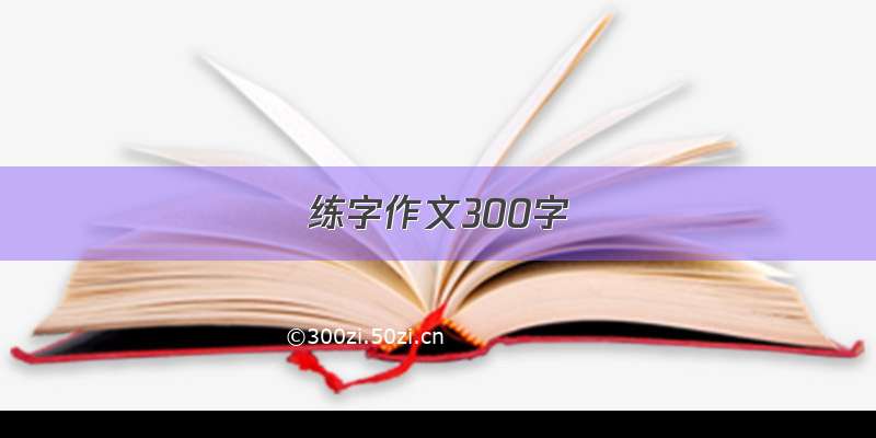 练字作文300字