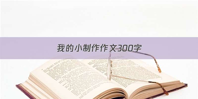 我的小制作作文300字