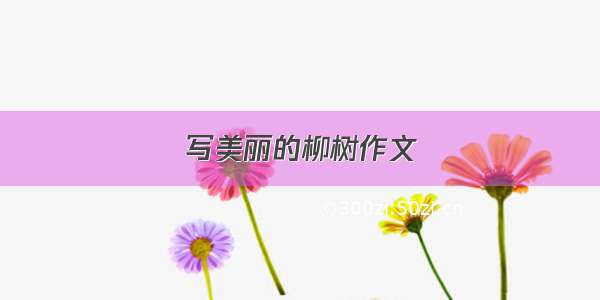 写美丽的柳树作文