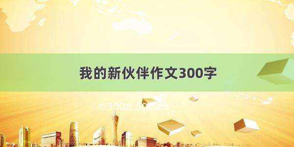 我的新伙伴作文300字