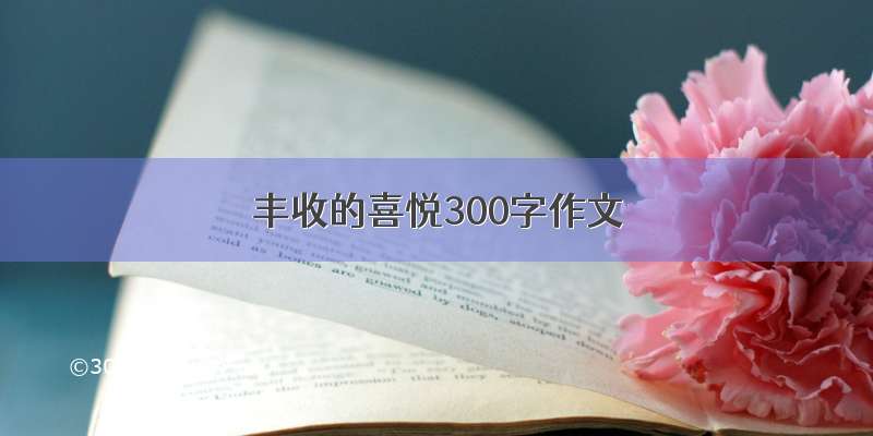 丰收的喜悦300字作文