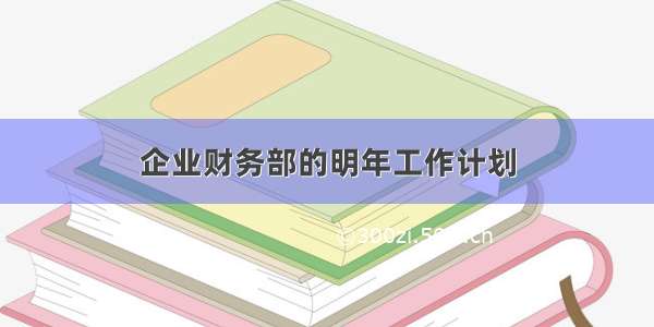 企业财务部的明年工作计划