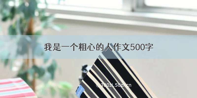 我是一个粗心的人作文500字